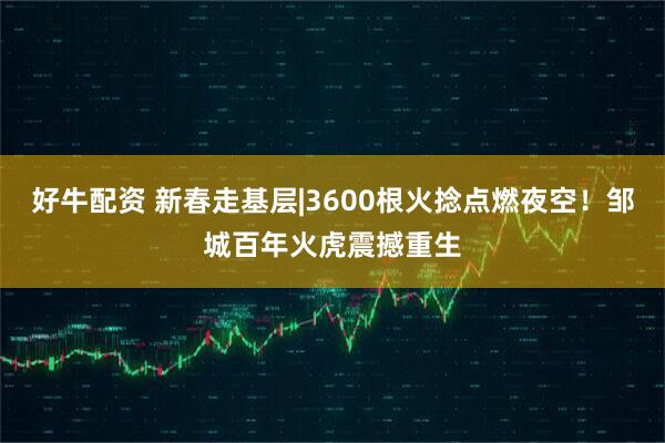好牛配资 新春走基层|3600根火捻点燃夜空！邹城百年火虎震撼重生