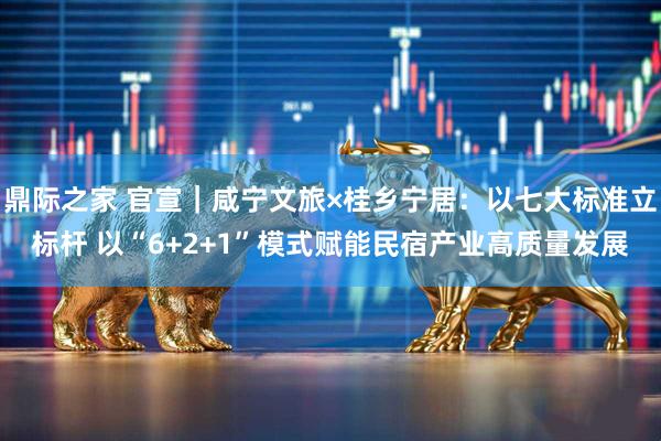 鼎际之家 官宣｜咸宁文旅×桂乡宁居：以七大标准立标杆 以“6+2+1”模式赋能民宿产业高质量发展