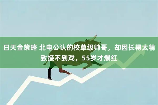 日天金策略 北电公认的校草级帅哥，却因长得太精致接不到戏，55岁才爆红