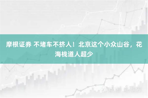 摩根证券 不堵车不挤人！北京这个小众山谷，花海栈道人超少