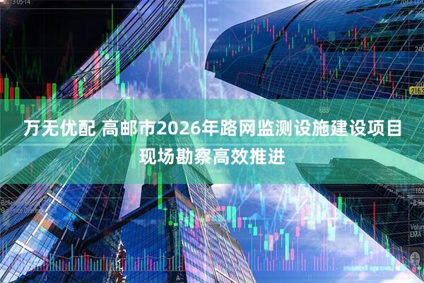 万无优配 高邮市2026年路网监测设施建设项目现场勘察高效推进
