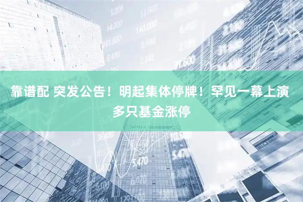 靠谱配 突发公告！明起集体停牌！罕见一幕上演 多只基金涨停