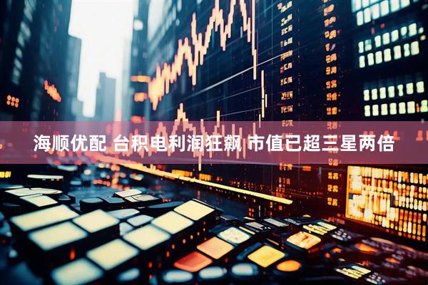 海顺优配 台积电利润狂飙 市值已超三星两倍