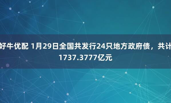 好牛优配 1月29日全国共发行24只地方政府债，共计1737.3777亿元