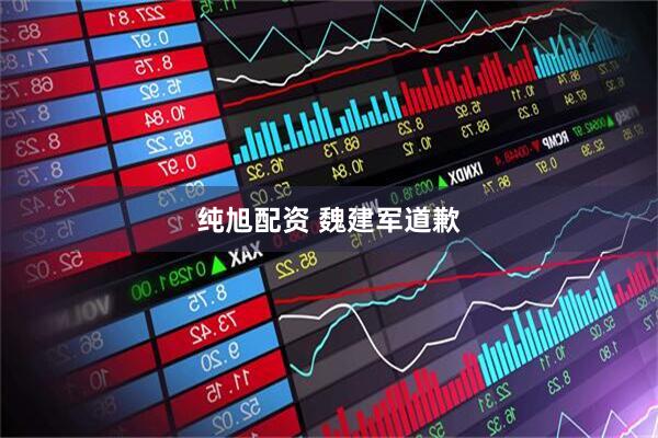 纯旭配资 魏建军道歉