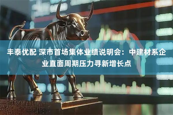 丰泰优配 深市首场集体业绩说明会：中建材系企业直面周期压力寻新增长点