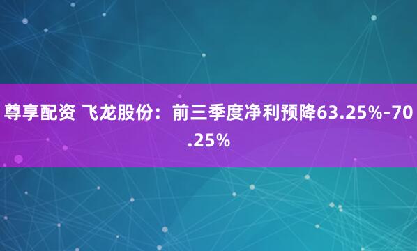 尊享配资 飞龙股份：前三季度净利预降63.25%-70.25%