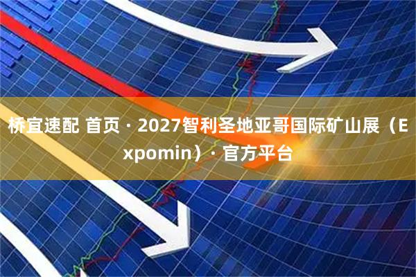 桥宜速配 首页 · 2027智利圣地亚哥国际矿山展（Expomin）· 官方平台