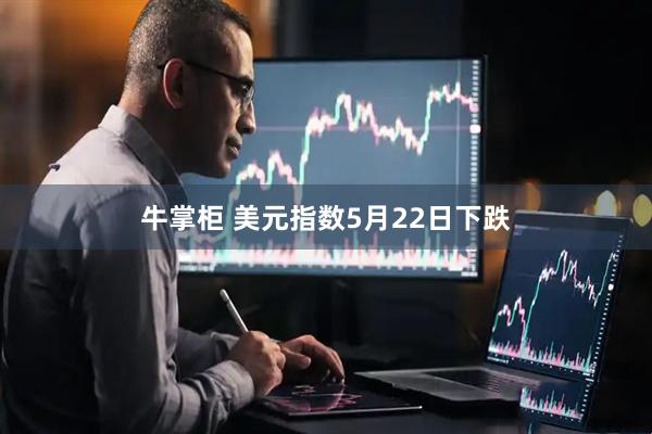 牛掌柜 美元指数5月22日下跌