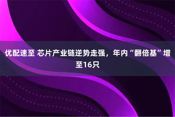 优配速至 芯片产业链逆势走强，年内“翻倍基”增至16只
