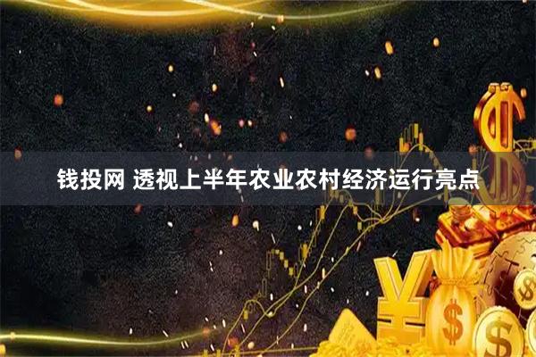 钱投网 透视上半年农业农村经济运行亮点