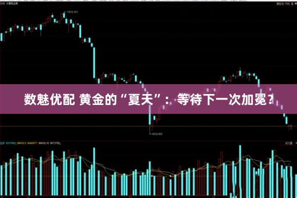 数魅优配 黄金的“夏天”：等待下一次加冕？